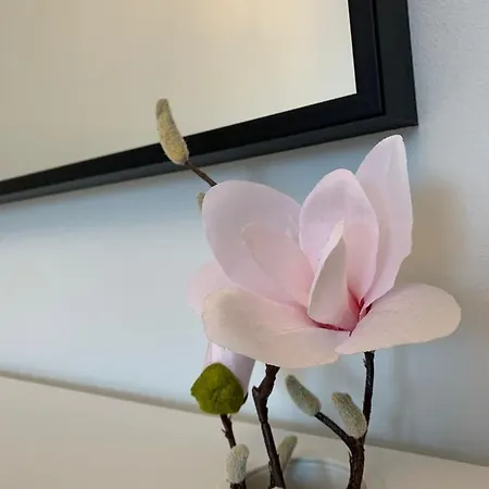 Polonia דירה שצ'צ'ין