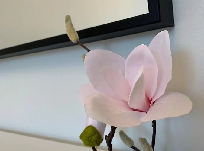 Polonia Apartment Szczecin